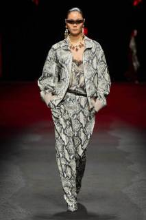 00037-roberto-cavalli-fall-2025-ready-to-wear-credit-gorunway.jpg