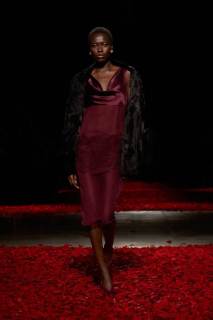 00027-ferragamo-fall-2025-ready-to-wear-credit-gorunway.jpg